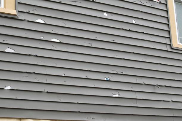 Best Wood Siding Installation  in Osgood, IN